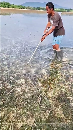 Spearing Success: How Traditional Fishing Techniques Feed Communities Today