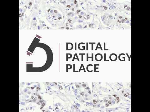 182: AI, Quality, and Standards: The Next Chapter of Digital Pathology