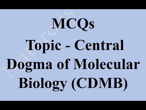 Central Dogma of Molecular Biology (CDMB) MCQs