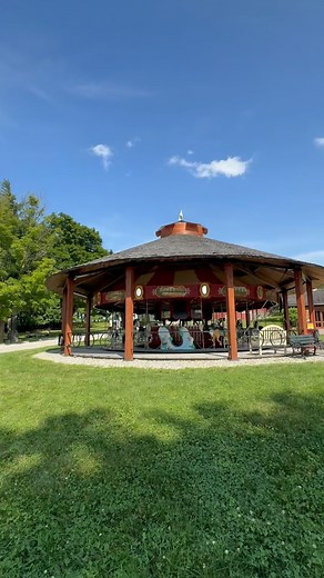 138 reactions · 30 shares | It’s National Carousel Day! Founder of...