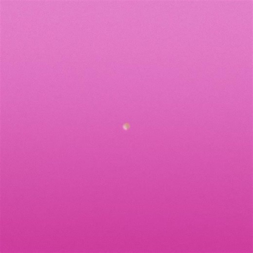 final žirniukas| @Aivaras Vilutis #lietuva