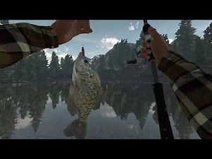 2 Black Crappie Tube Jig Bait On Rocky Lake Fishing Planet