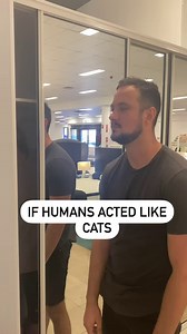 484K views · 5.1K reactions | If humans acted like cats... again. #ifhumansactedlikecats #MartyandMichael #cats | University of Marcheal | Facebook