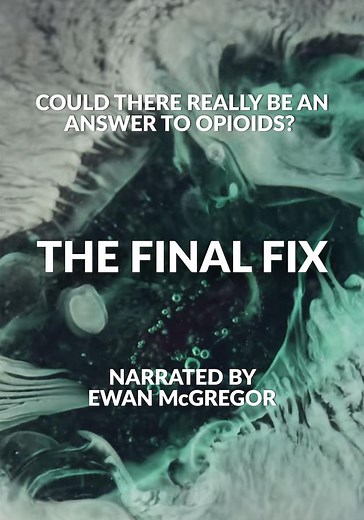 The Final Fix streaming: where to watch online?