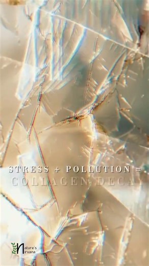 Inflammaging: Why Stress & Pollution are Eating Your Collagen (The Astra QI Solution)
