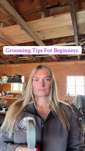 16 reactions | Did you know you can rotate your curry comb for easier use? #groomingtips #horsetipsforbeginners #horsetips #horsegrooming | Western Skies Equine, LLC | Facebook