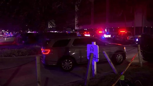 Ex-client bursts into therapy session, fatally stabbing therapist, Florida deputies say