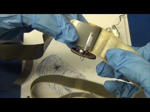 Inside A Shorted Electrolytic Capacitor - Ec-Projects