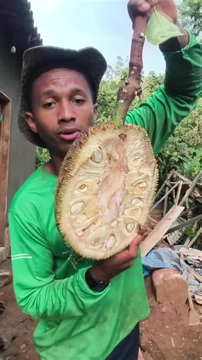 Como Diferenciar a Jaca Dura da Jaca Mole