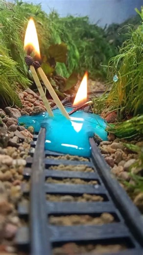 Shampoo vs train video🔥Part 2