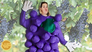 44K views · 234 reactions | Marcy vs grapes - who will win? | WeatherFrom | Facebook
