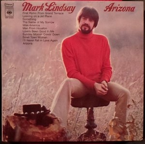 Mark Lindsay - Arizona