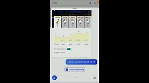 Bings New Voice