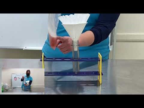 Strawberry DNA Extraction Kid's STEM Experiment