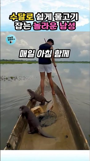수달로 물고기를 쉽게 잡는 남자의 놀라운 낚시 방법 #수달 #동물 #otter