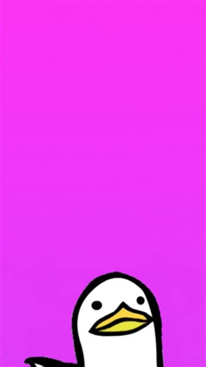 16 de fevereiro de 2026