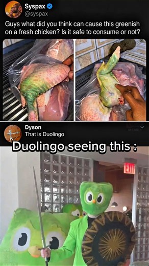 Duolingo Would Definitely Be Mad