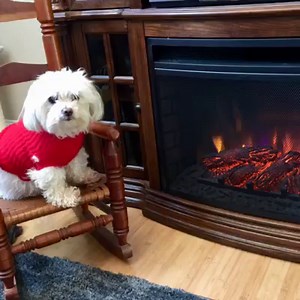 Story Time with Tanner: Tanner vs. the Dragon | Tanner Rants