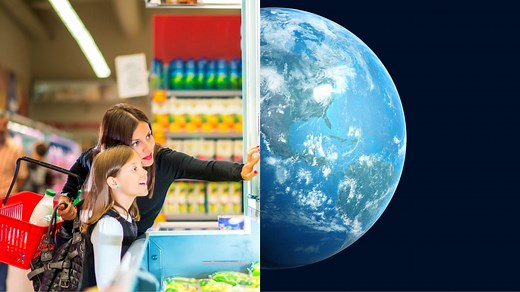 Understanding seafood consumers