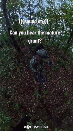 listen closely and you will hear the grunt! #immature #rut #whitetaildeer