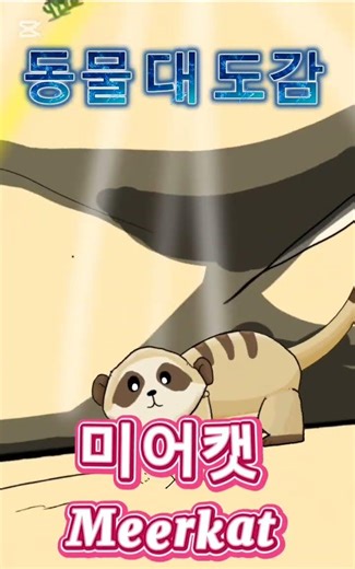 동물 대 도감 63화 아프리카 사막의 귀염둥이 미어캣 Meerkat #animal (강동현tv)