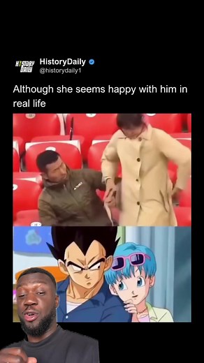 Couple Vegeta-Bulma : pourquoi ce duo a tant d'aura