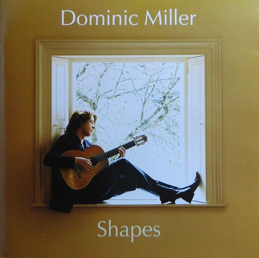 Dominic Miller - Shapes