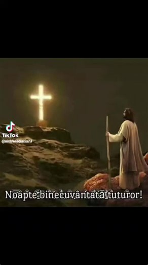 Midiana Costea (@midiana.costea)’s videos with original sound - Midiana Costea