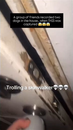 creepyzone on Instagram: "A strange video is going viral, and people can’t stop talking about it. A group of friends are laughing while recording what they believe could be a skinwalker. In the video, there are two dogs. One dog is outside the door, acting completely normal. The other dog is inside the house, standing very still, with glowing eyes that seem to follow the camera wherever it moves. Some viewers noticed something even creepier. When you watch closely, the door handle appears to mov