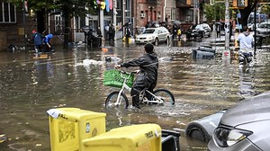 Overstromingen New York: ondergelopen metrostations en ontsnapte zeeleeuw