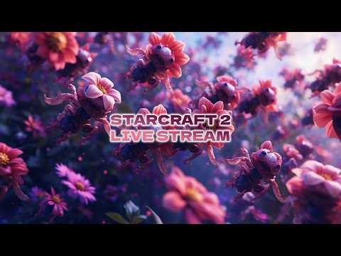 LIVE: StarCraft 2 - 2v2 - Asia Server (Feb 13, 2026)