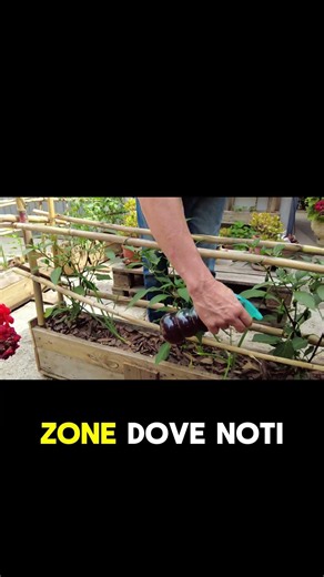 The Secret to an Effective Repellent: When and How to Use It | WATCH THE FULL VIDEO
