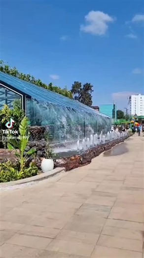 Abeba Lakew on Instagram