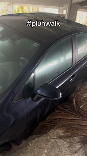 #pluhwalk | pretty girls walk