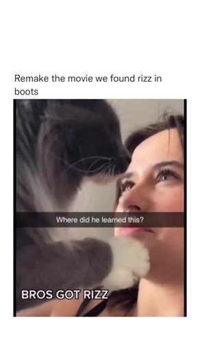 Cat and Human Interaction: A Cute Indoor Moment