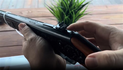 Watch Daisy Model 25 Pump-Action BB Gun air Rifle Overview on Amazon Live