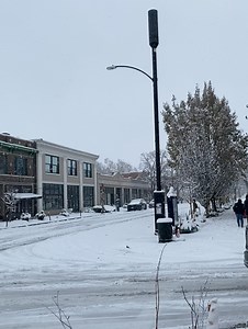 Left Bank Books on Reels