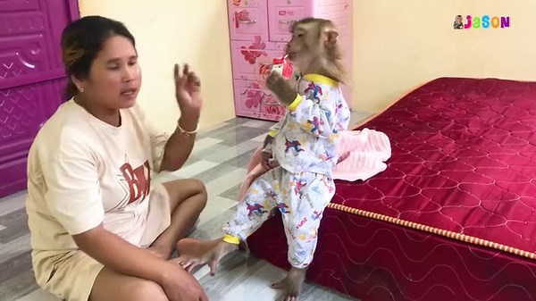 24K views · 2.1K reactions | Handsome Jason Stunned When Mom Tell To Exercise Call Bela Name | Monkey Jason | Facebook