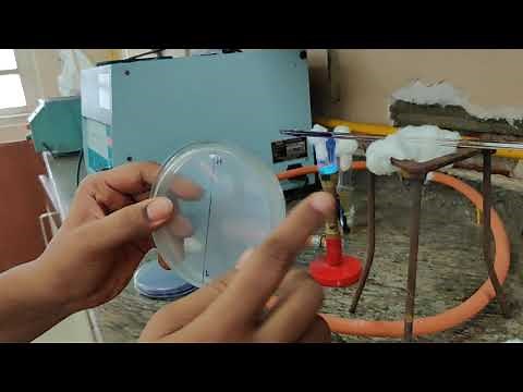 Gradient plate technique