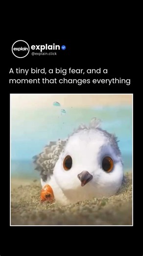 Explain on Instagram: "🐦✨ Piper (2016) - A tiny bird, a big fear, and a moment that changes everything 🐦🌊 Piper is one of those Pixar shorts that doesn’t need a single word to touch your heart. Released with Finding Dory in 2016, it follows a baby sandpiper who’s terrified of the ocean. Every wave feels like a monster, and finding food along the shore becomes a daily struggle. What makes the story feel so real is how alive everything looks. You can almost feel the wet sand, the cold water, an