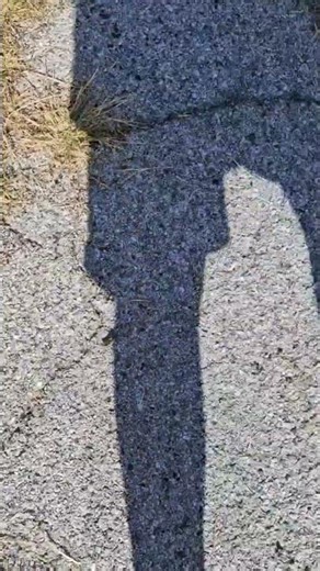 these friends bug need to stop spying on me.