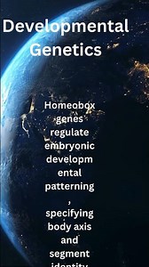 "Decoding Homeobox Genes in Embryonic Development"
