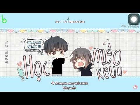 Bài học tiếng mèo kêu - QUỐC BEAT 62