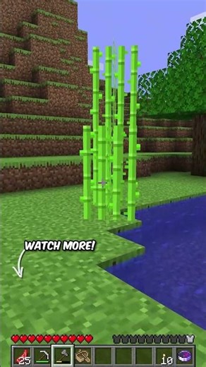 What is bro saying 😂 #minecraft #minecraftmanhunt #memestagram