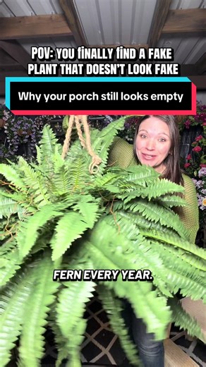 Transform Your Porch with the Giant Boston Fern