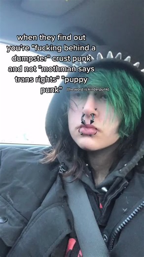 Exploring Crust Punk Culture Through Memes