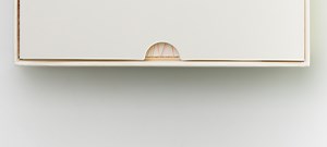 Gift Sets — Typology