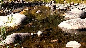 The legendary Pecos River flows over rocks in Pecos River Canyon State Park in autumn in New Mexico
