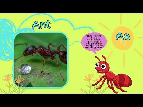 ABC Animal Adventures 🐾: Learning the Alphabet with Fun Facts and Jokes for Kids! 🦓🦒🐘-Letter A