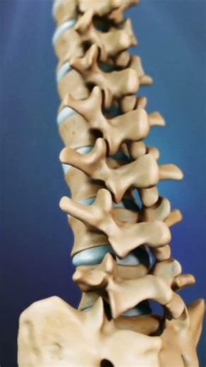 Lower Back and Muscle Strain